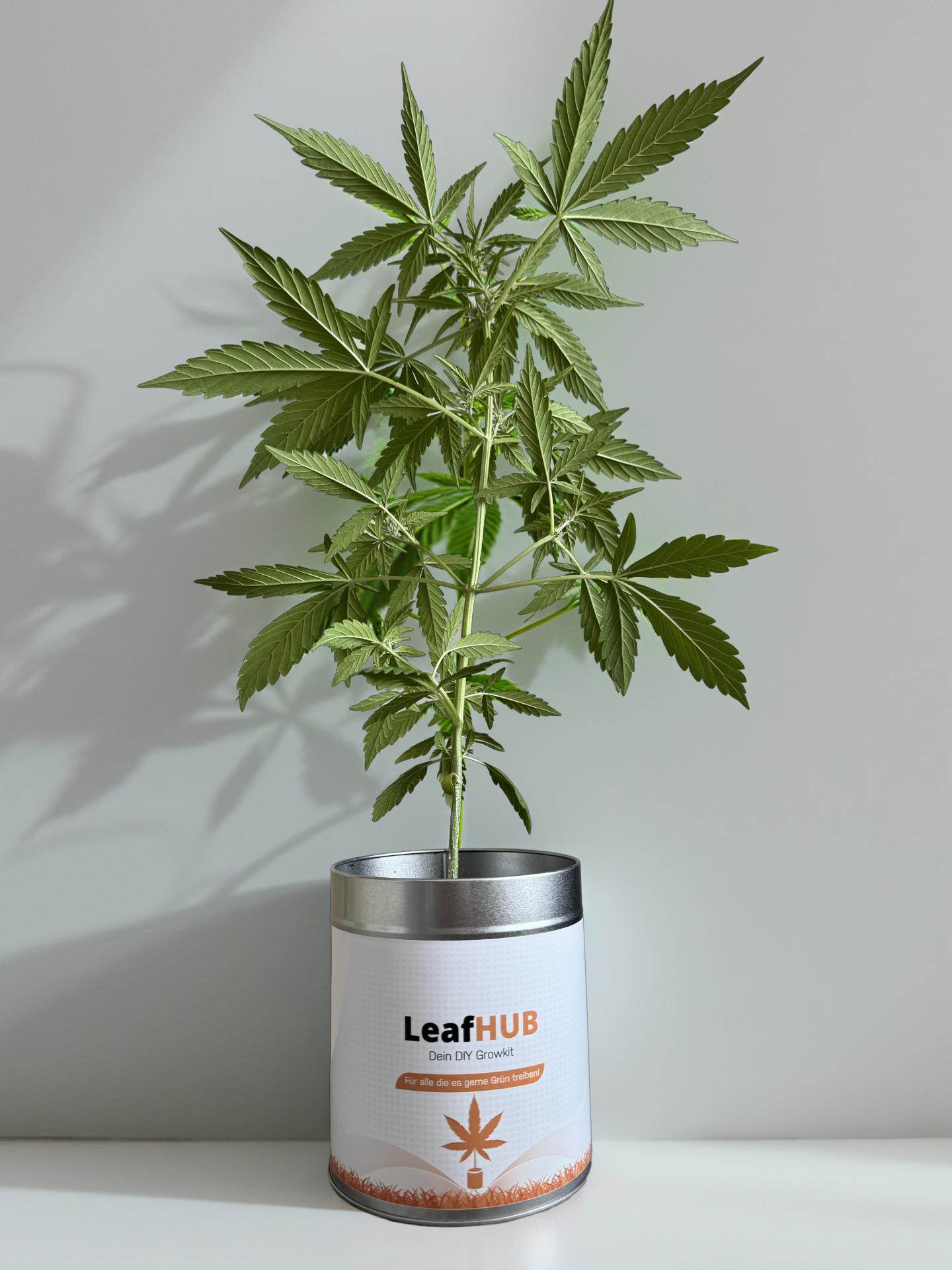 LeafHUB - GrowKit